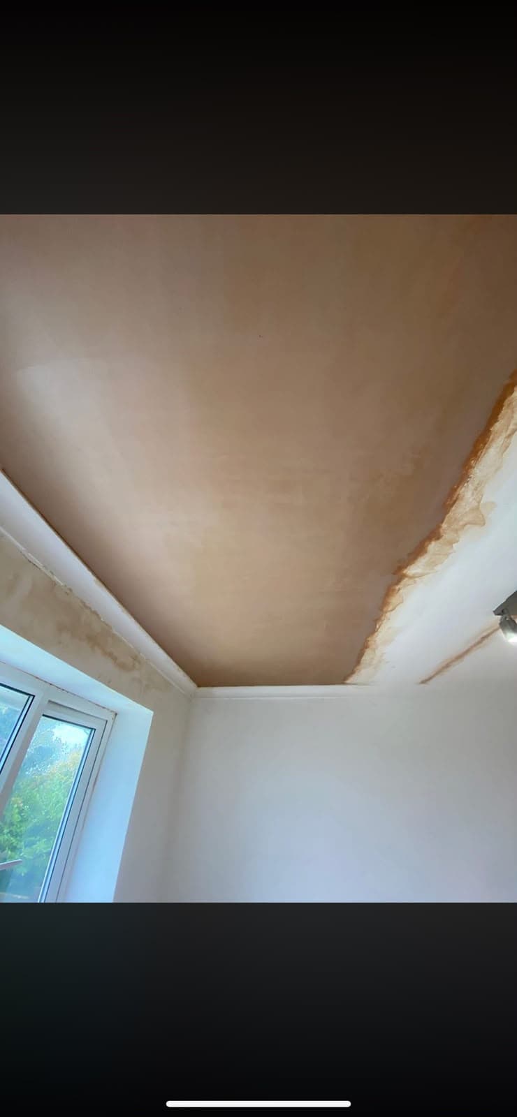A close-up of a coving and cornice detail where a skimmed ceiling meets a painted wall